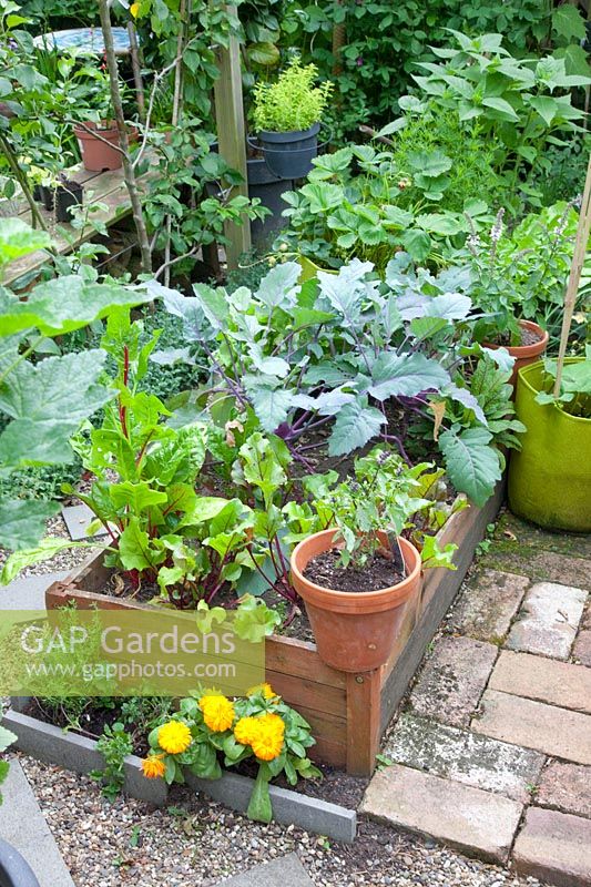 Small vegetable garden 