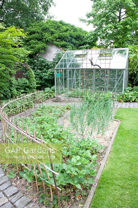 Vegetable garden with strawberries and onions, Fragaria, Allium cepa 