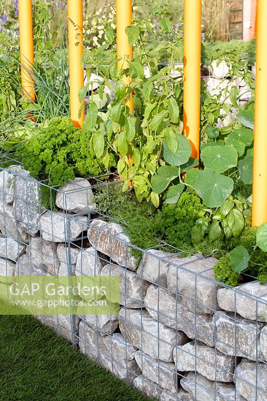 Gabion in the herb garden 