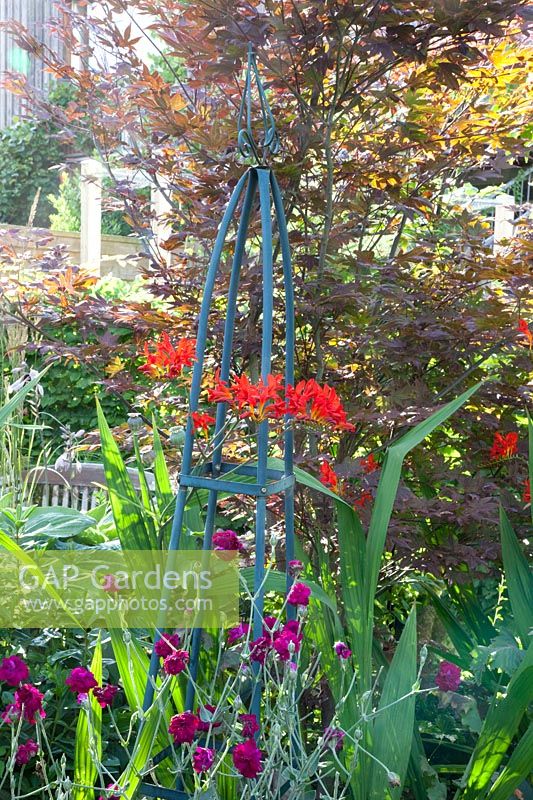 Bed with Crocosmia Lucifer, Lychnis coronaria Gardener's World 