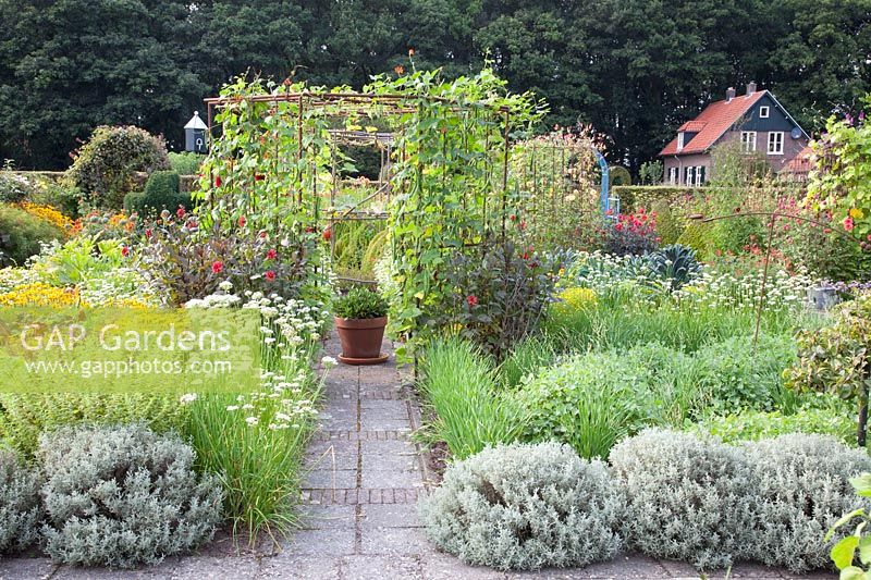 Cottage garden in late summer 