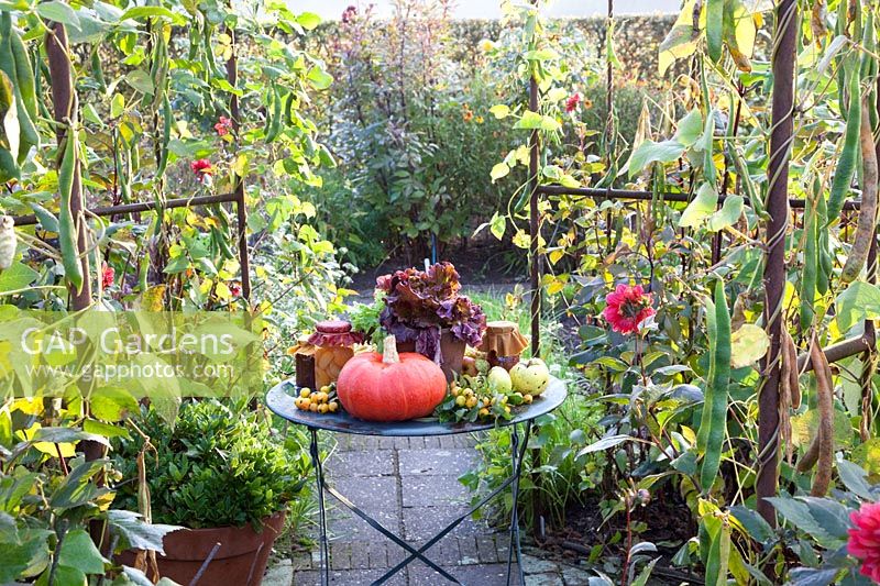 Still life in autumn 