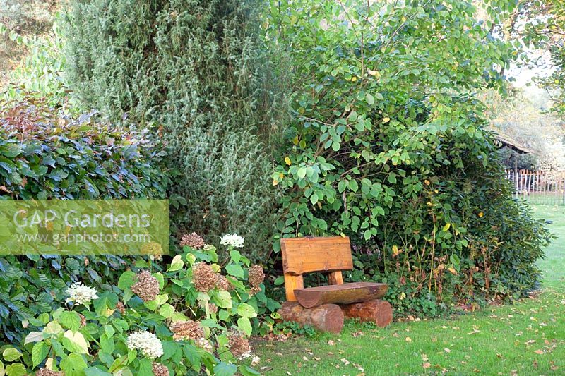 Country garden with seating area in October, Hydrangea arborescens Annabelle 