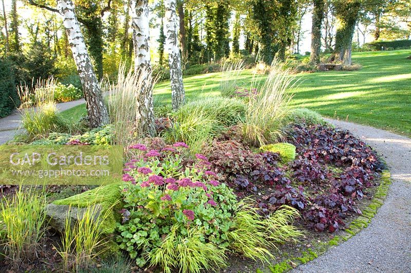 Island bed with Sedum, Heuchera, Hakoneckloa macra and Calamagrostis acutiflora Karl Förster 