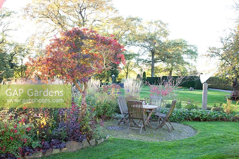 Seating in the autumn garden, Cotinus coggygria Royal Purple 