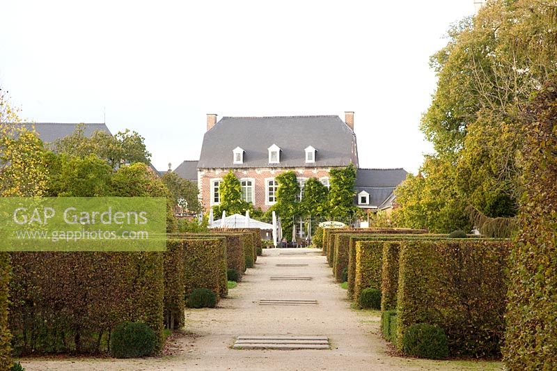 Formal garden with hedges of hornbeam, Carpinus betulus 