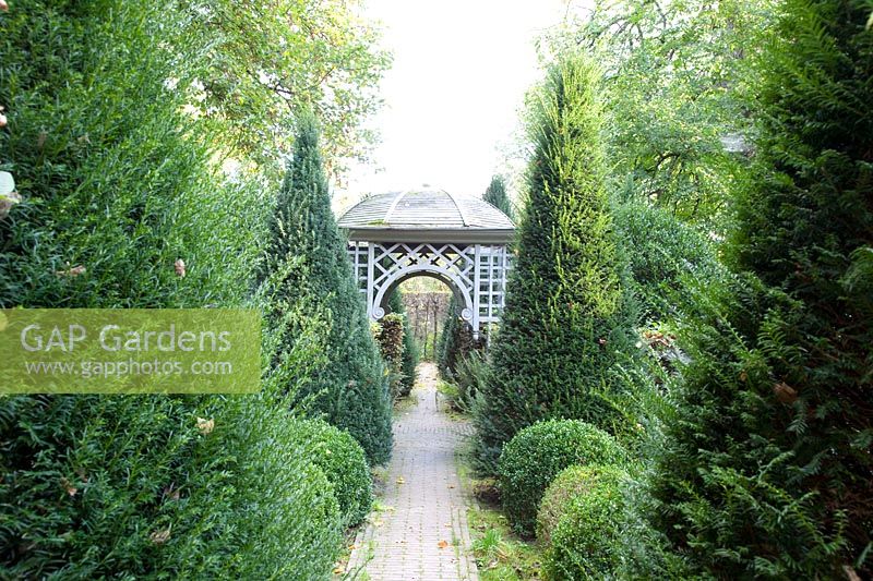 Formal garden with yew, taxus 