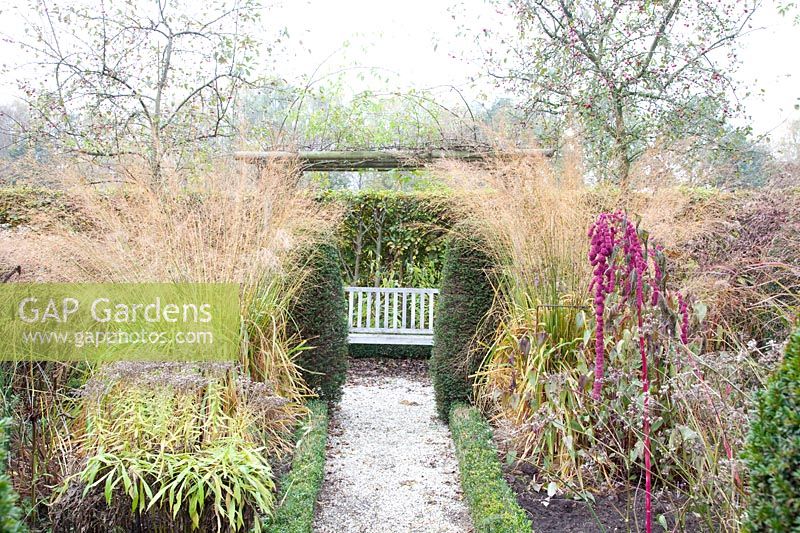 Garden in November with Moorgrass, Molinia arundinacea Transparent 