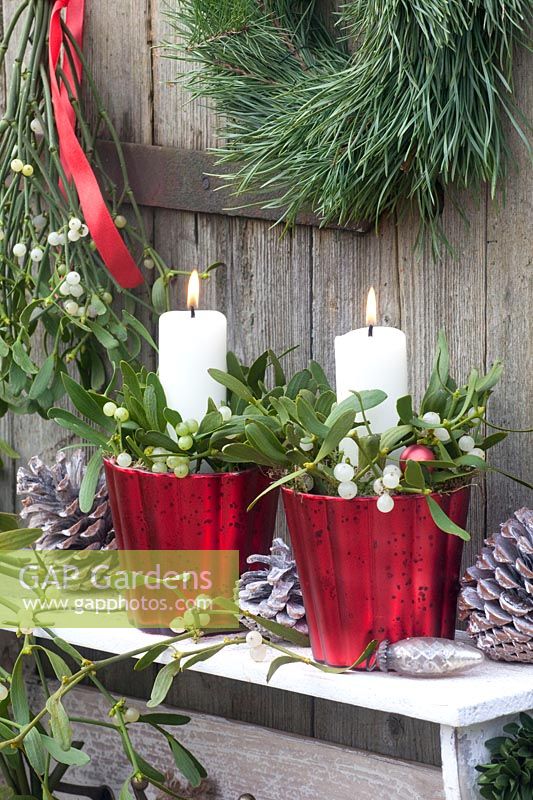 Arrangements with mistletoe and candles, Viscum album 