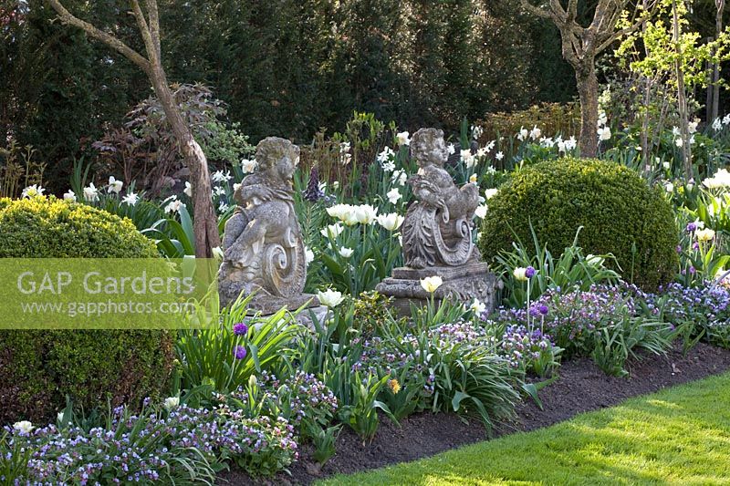 Spring bed with putti, Pulmonaria, Buxus, Tulipa Exotic Emperor 