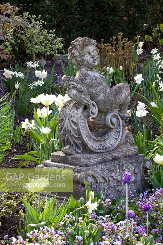 Putto in the spring garden, Tulipa Exotic Emperor 