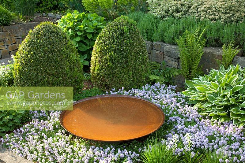 Bed with rust water bowl and thyme, Thymus longicaulis odoratus 