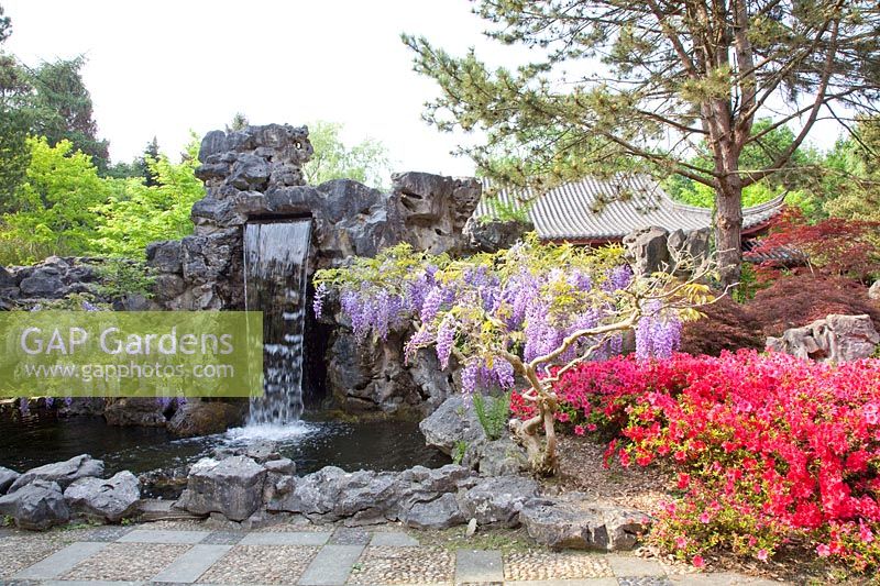 Chinese Garden in Hortus Haren 