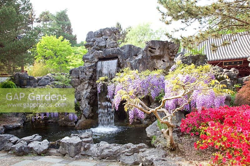 Chinese Garden in Hortus Haren 