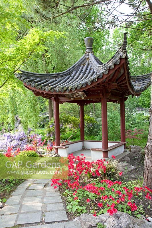 Chinese Garden in Hortus Haren 