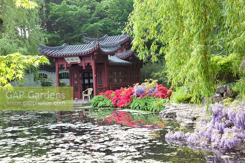 Chinese Garden in Hortus Haren 