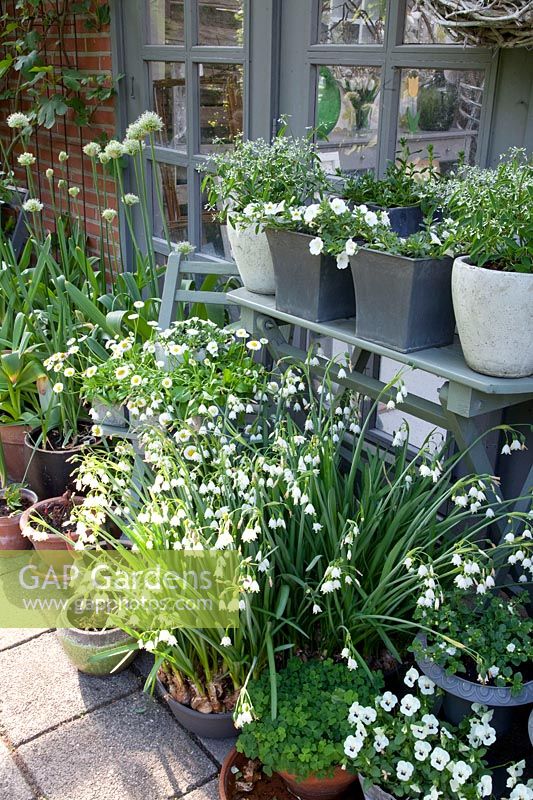 Pot garden terrace 