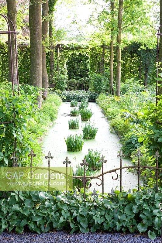 Water channel in the garden 