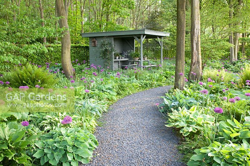 Ornamental foliage perennials in the shade 