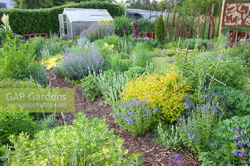 Country garden with herbs and perennials 