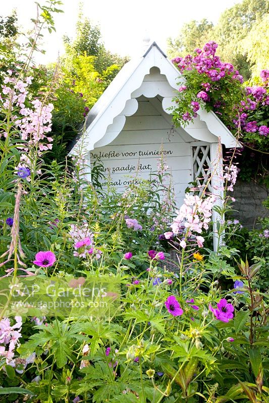 Arbor with Rose, Rosa Perennial Blue, Geranium psilostemon, Epilobium 