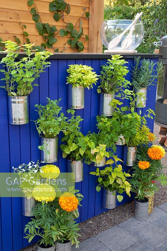 Herbs in old cans 