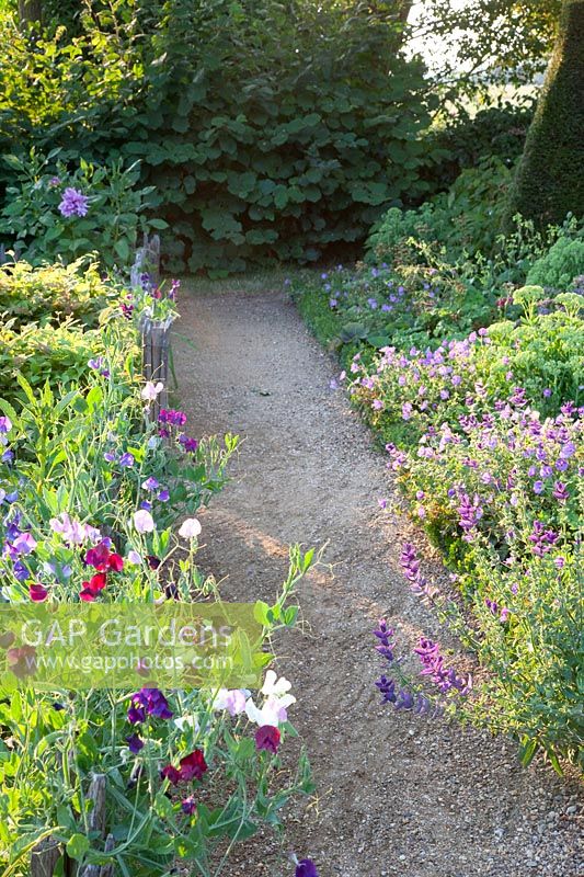 Path between flowerbeds 