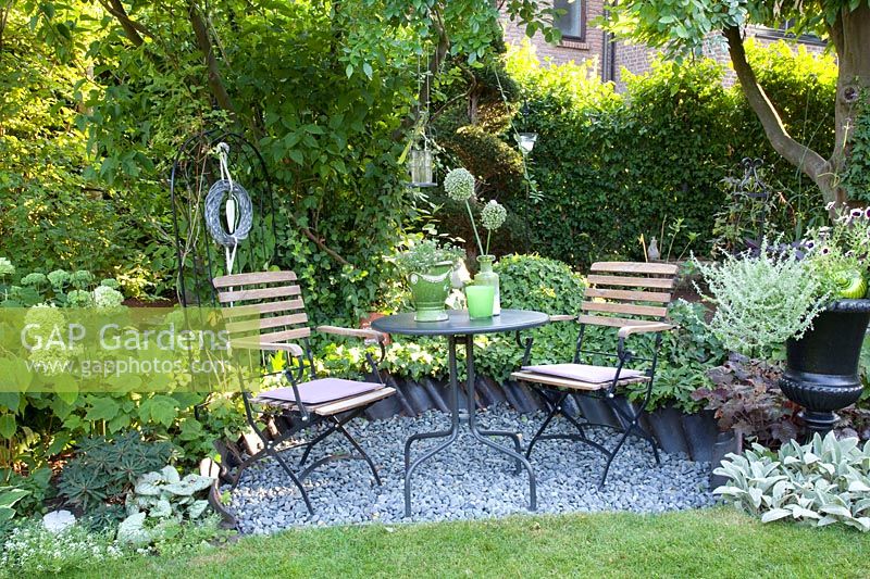 Seating area with hydrangeas, Hydrangea arborescens Annabelle 