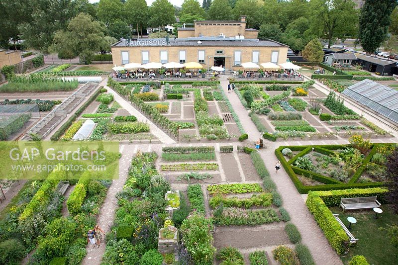 Vegetable garden and restaurant, Villa Augustus 