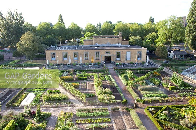 Vegetable garden and restaurant, Villa Augustus 