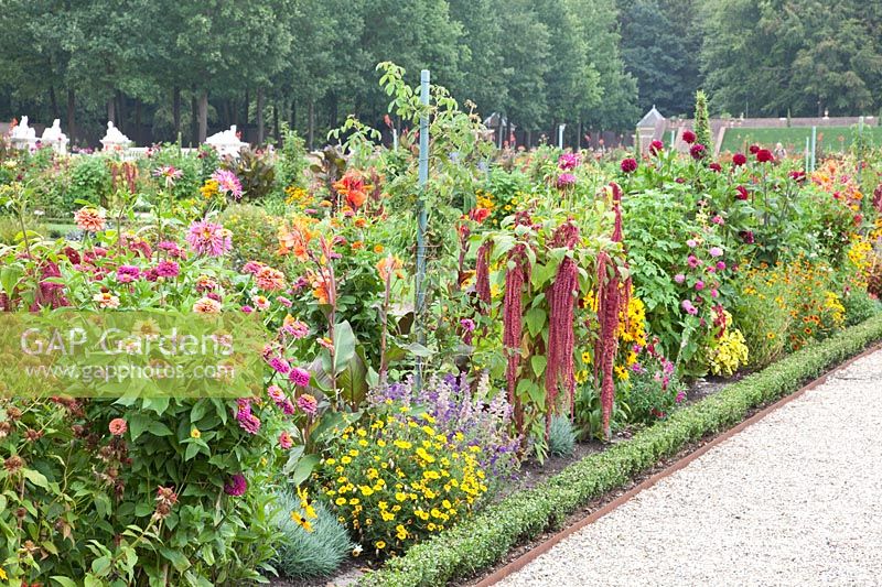 Beds with annual summer flowers, Paleis Het Loo, Netherlands 