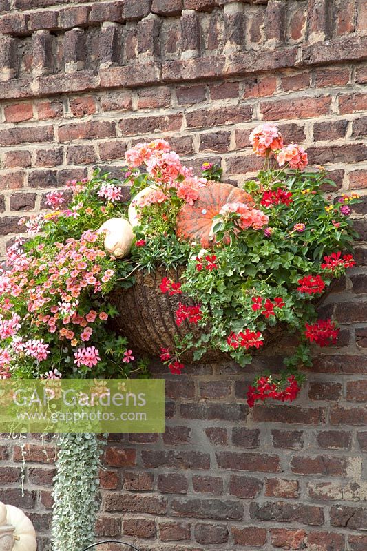 Hanging basket with balcony plants and pumpkin 