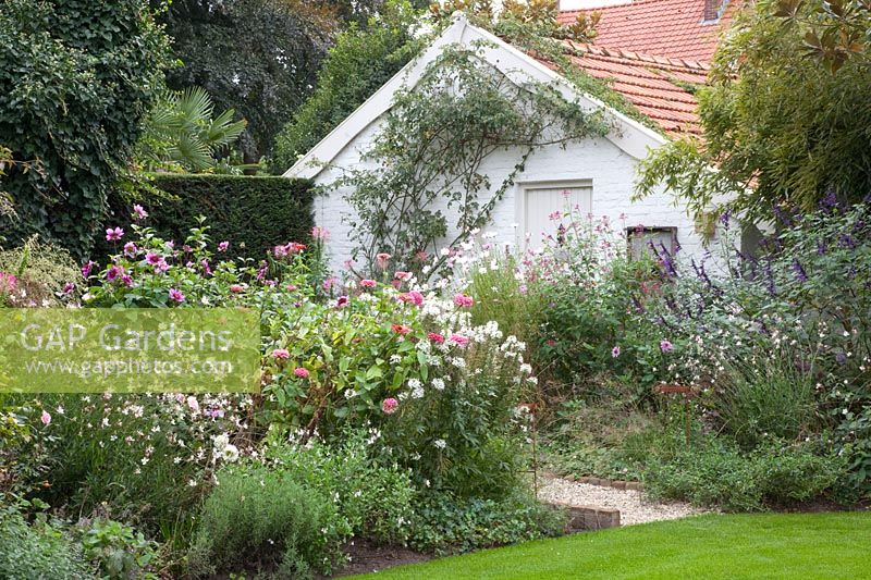 Garden in September, Zinnia, Cleome 