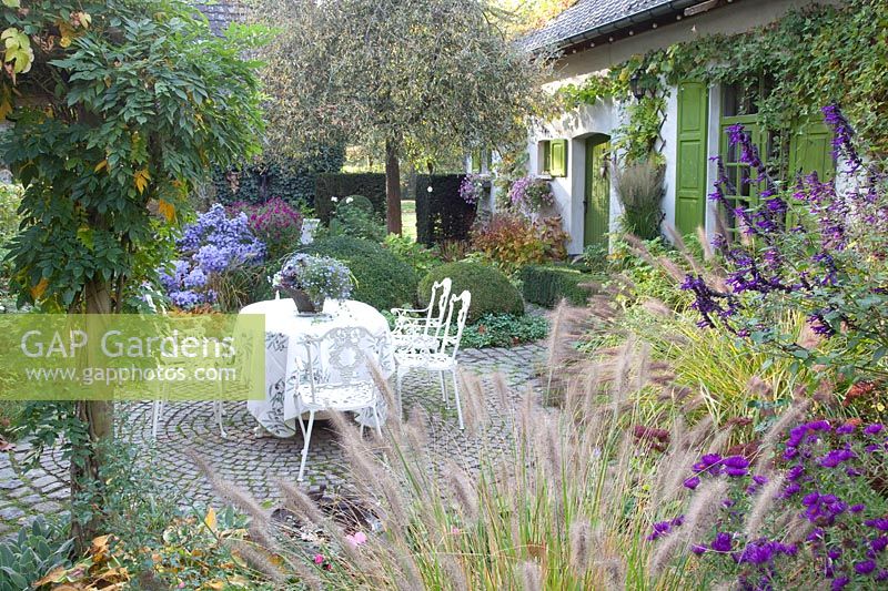 Seating area in autumn, Pennisetum alopecuroides Foxtrot, Salvia Amistad, Aster 