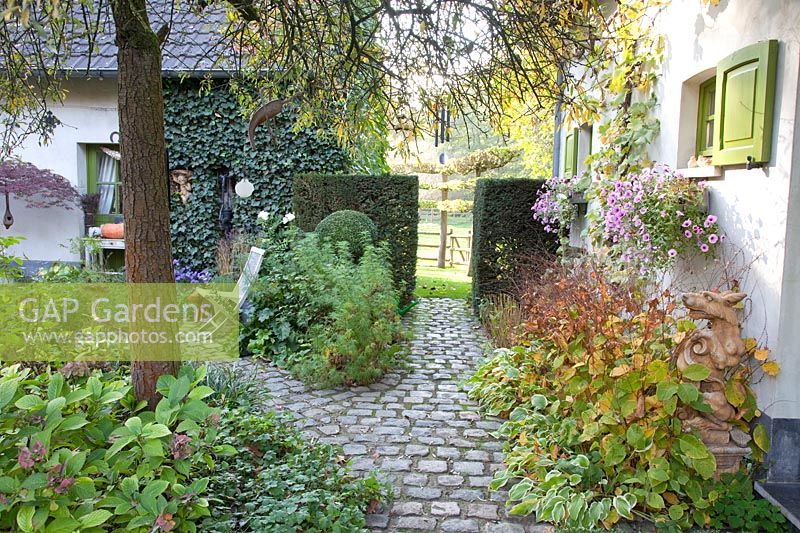 Front garden in autumn 