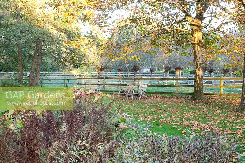 Seating in the autumn garden 