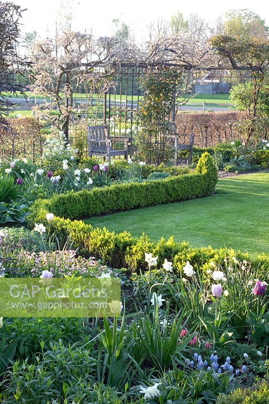 Spring garden with arbor and bulb flowers 