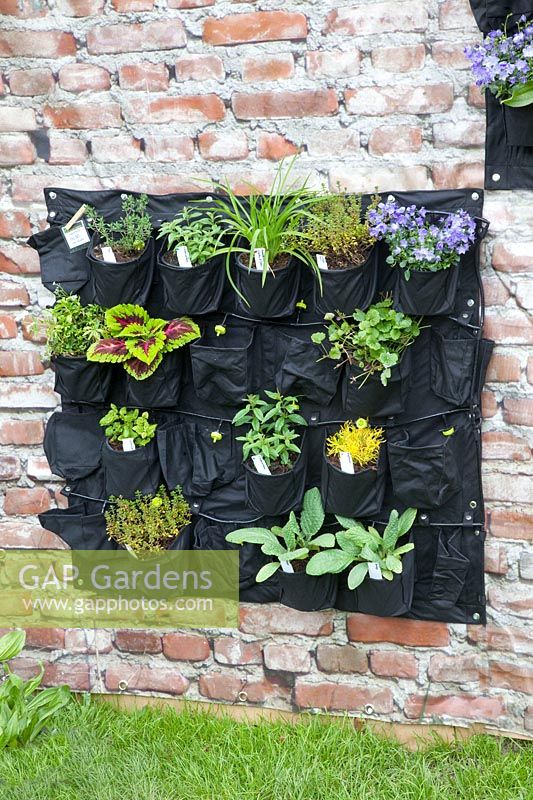 Vertical gardening with plant bags 