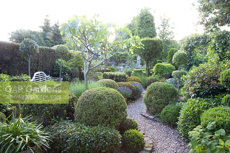 Mediterranean garden with bench and topiary 