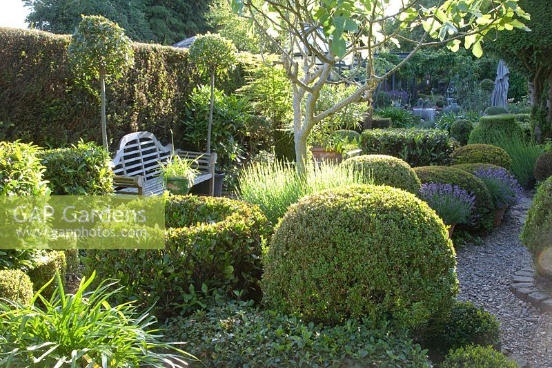 Mediterranean garden with bench and topiary 