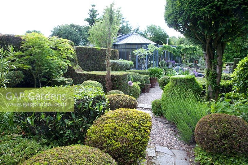 Mediterranean garden with topiary 