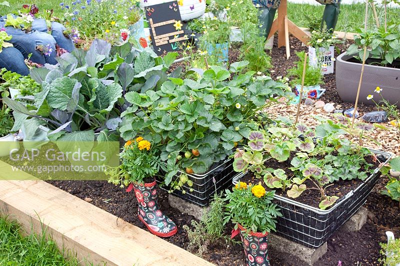 Vegetables and strawberries in recycled planters 