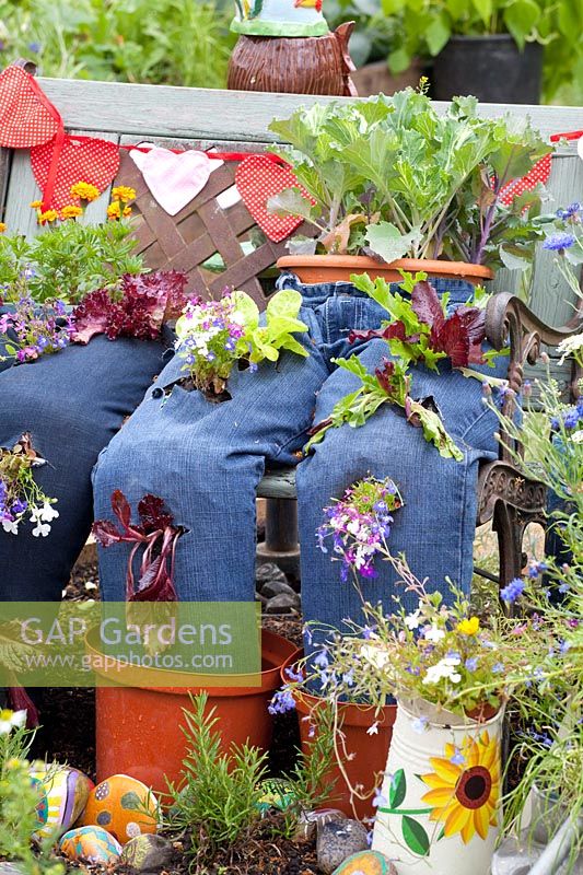 Jeans planted with lettuce and flowers 