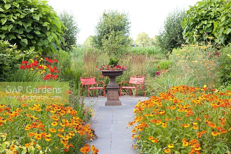 Hotborder with Sneezeweed, Helenium 