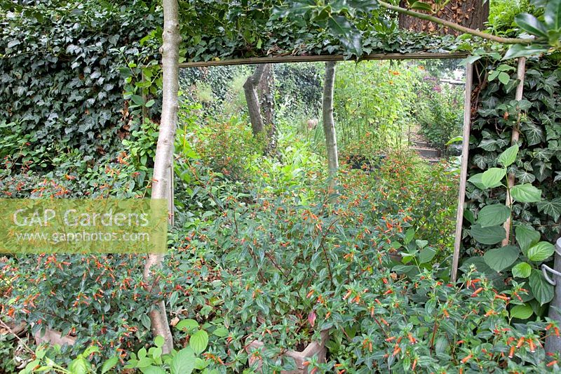 Mirror in the garden 