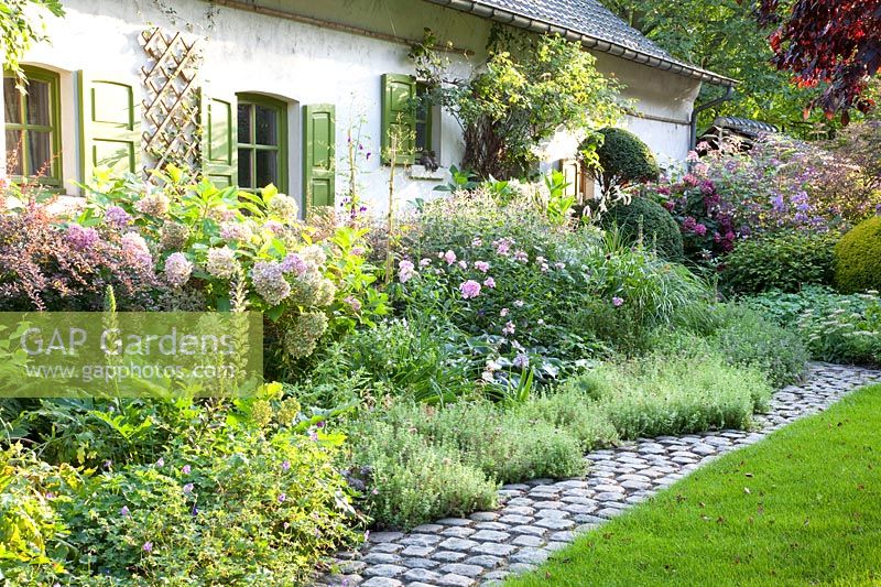 Front garden with trees and shrubs 