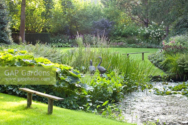 Pond with shore plants 