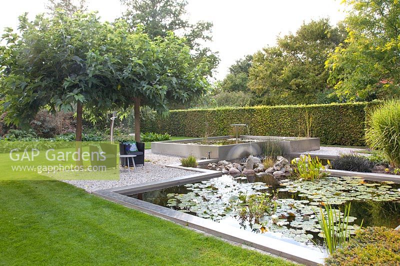 Modern pond with seating area under mulberry trees, Morus alba Macrophylla 