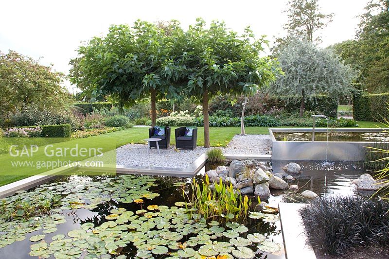 Modern pond with seating area under mulberry trees, Morus alba Macrophylla 