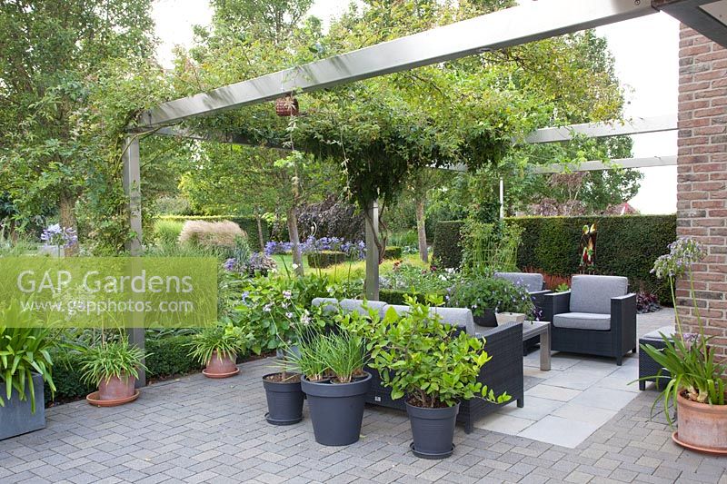Modern terrace with stainless steel pergola 